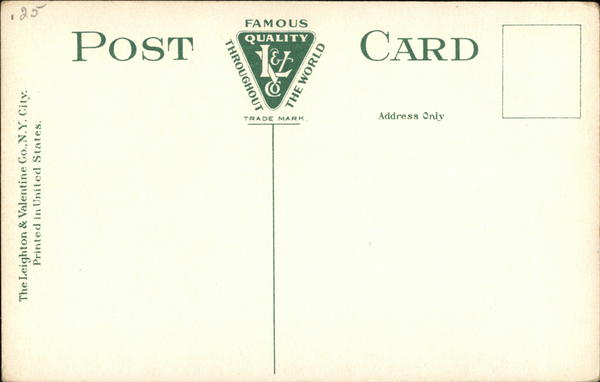 Back of Card