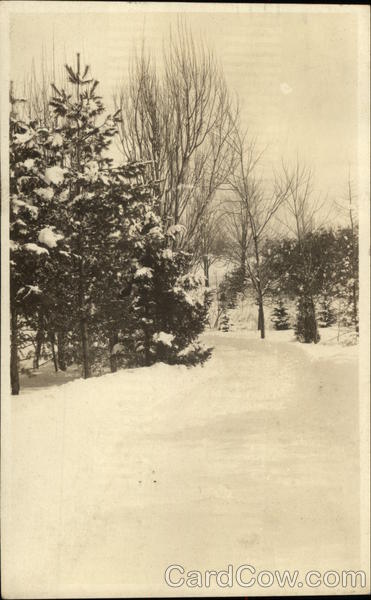 Snow-Covered Road