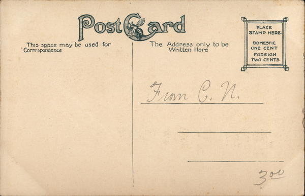 Back of Card