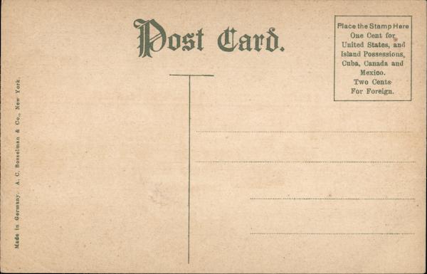 Back of Card